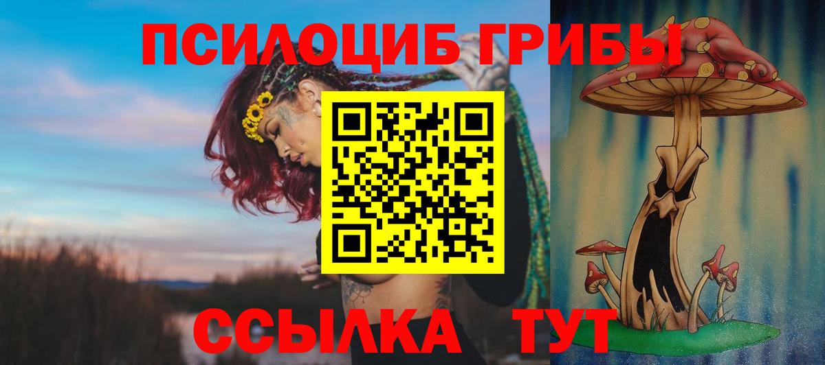Михайловка  дарнет шоп  Вход с VPN  Псилоцибиновые грибы GOLDEN TEACHER 