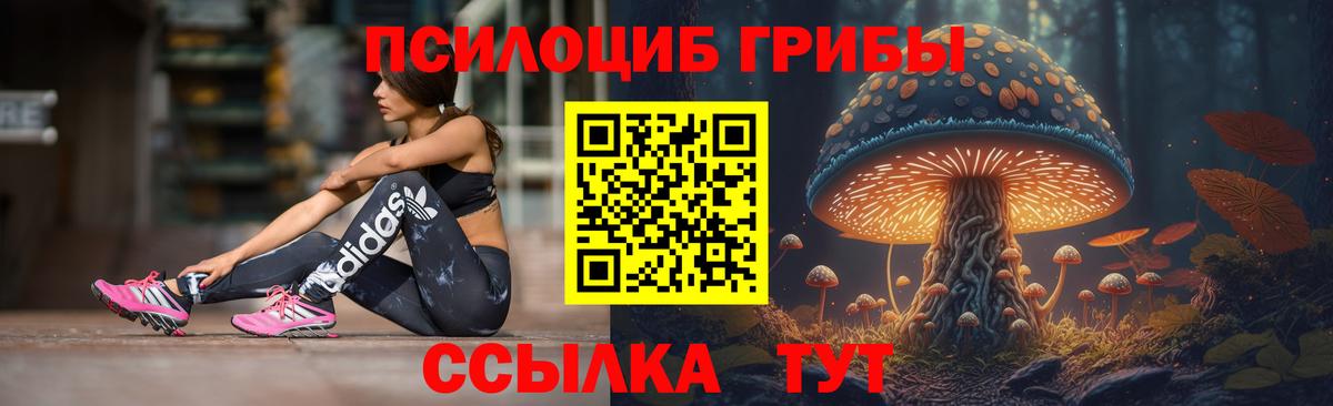 Галлюциногенные грибы мухоморы Михайловка