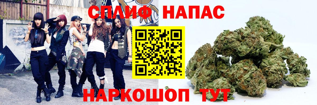 Бошки Шишки план Михайловка